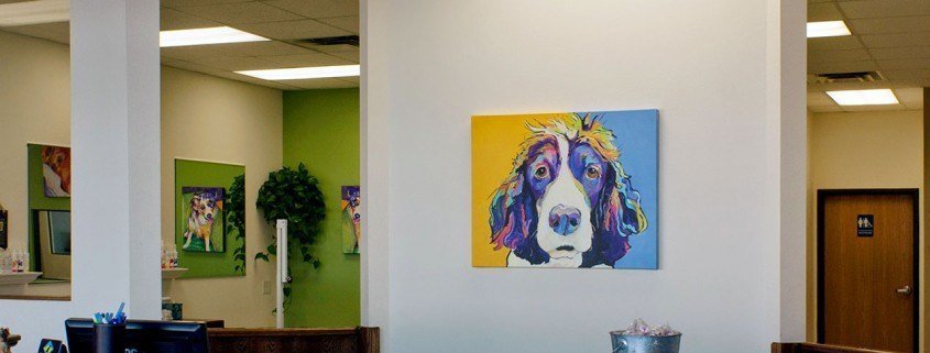 Moorhead, MN - Dog Groomer